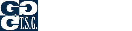Táborské soukromé gymnázium a Základní škola, s. r. o.